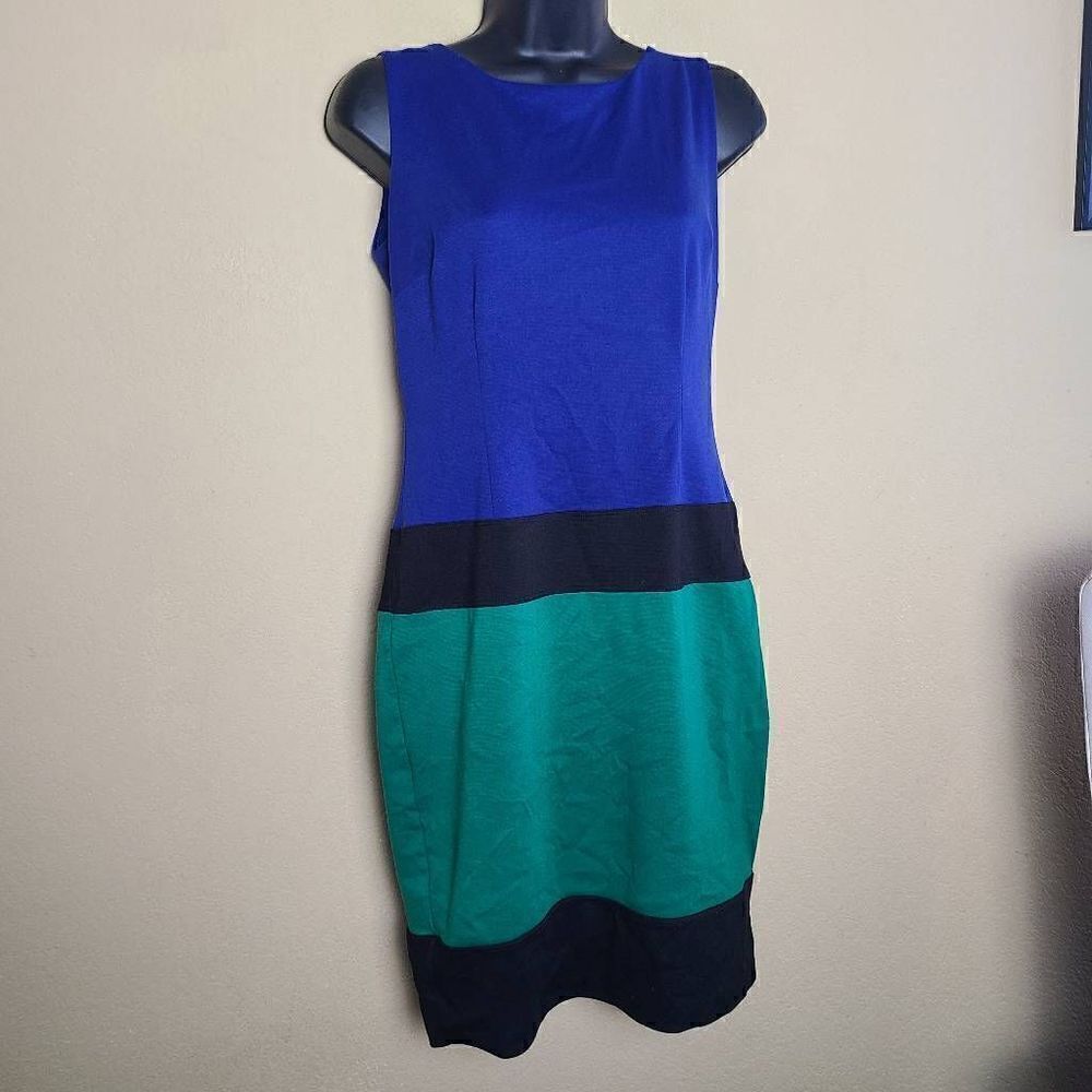 Enfocus Studio Colorblock Dress